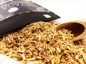 CHAGA | CZAGA - CZARNA HUBA BRZOZOWA - obrazek 3