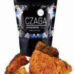 CHAGA | CZAGA - CZARNA HUBA BRZOZOWA