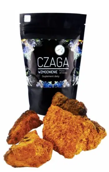 CHAGA | CZAGA - CZARNA HUBA BRZOZOWA