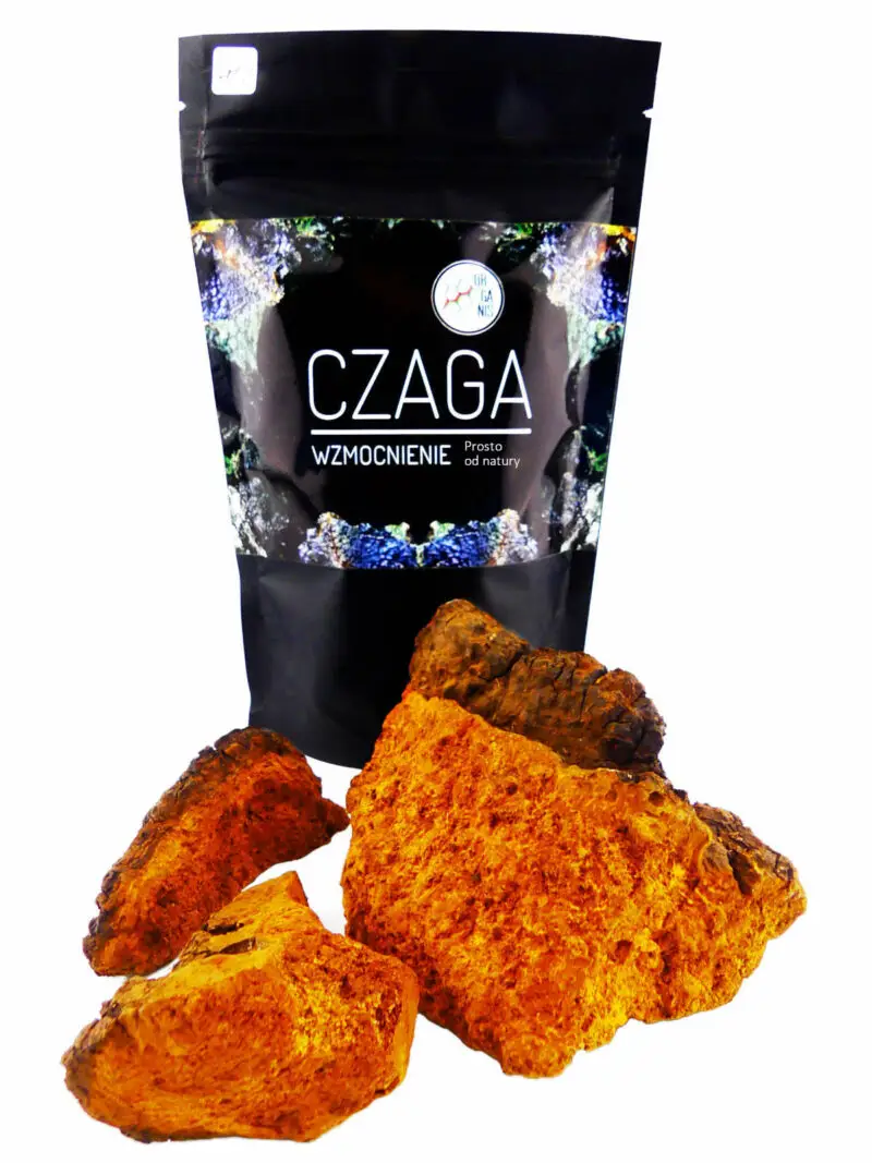 CHAGA | CZAGA - CZARNA HUBA BRZOZOWA - obrazek 2