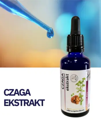 CZAGA WYCIĄG Mikrocząsteczkowy 50ml płynny krople ekstrakt