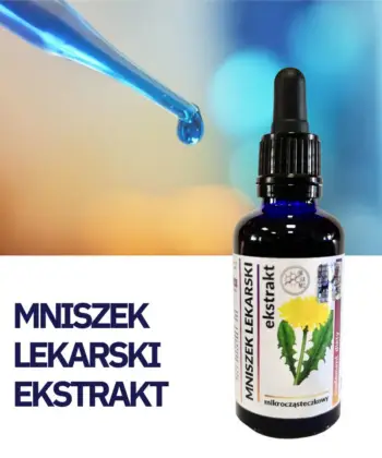 MNISZEK LEKARSKI WYCIĄG Mikrocząsteczkowy 50ml płynny krople ekstrakt - obrazek 3