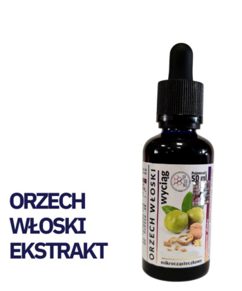 ORZECH WŁOSKI WYCIĄG Mikrocząsteczkowy 50ml płynny krople ekstrakt - obrazek 3