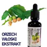 ORZECH WŁOSKI WYCIĄG Mikrocząsteczkowy 50ml płynny krople ekstrakt