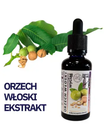 ORZECH WŁOSKI WYCIĄG Mikrocząsteczkowy 50ml płynny krople ekstrakt