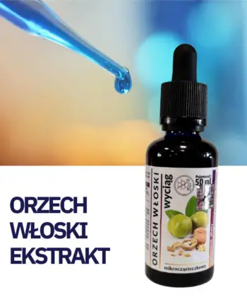 ORZECH WŁOSKI WYCIĄG Mikrocząsteczkowy 50ml płynny krople ekstrakt - obrazek 2