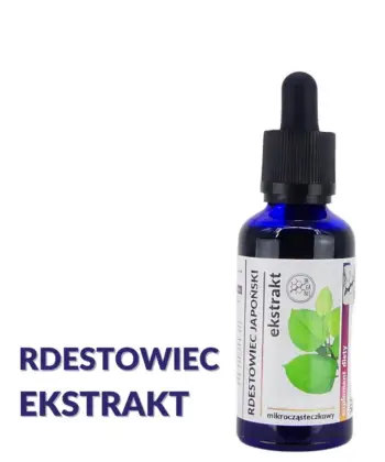 RDESTOWIEC JAPOŃSKI WYCIĄG Mikrocząsteczkowy 50ml płynny krople ekstrakt