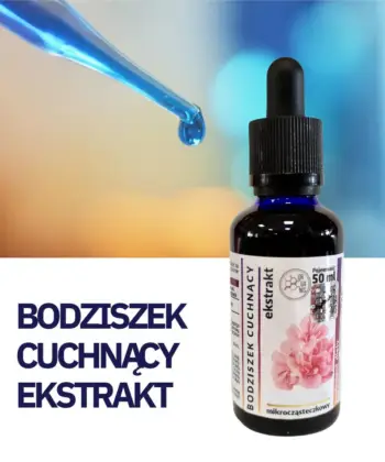 BODZISZEK CUCHNĄCY WYCIĄG Mikrocząsteczkowy 50ml krople ekstrakt - obrazek 2