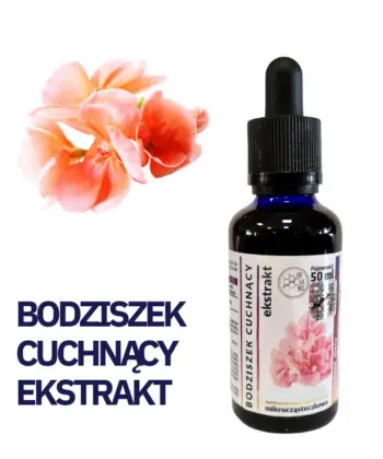 BODZISZEK CUCHNĄCY WYCIĄG Mikrocząsteczkowy 50ml krople ekstrakt