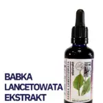 BABKA LANCETOWATA WYCIĄG Mikrocząsteczkowy 50ml krople ekstrakt