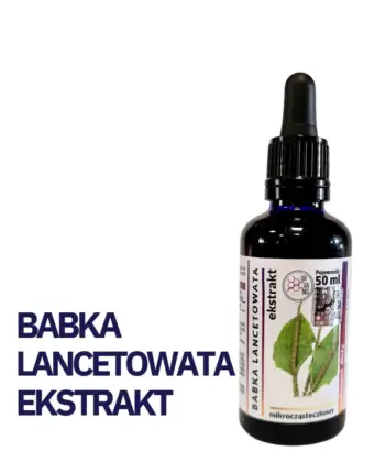 BABKA LANCETOWATA WYCIĄG Mikrocząsteczkowy 50ml krople ekstrakt