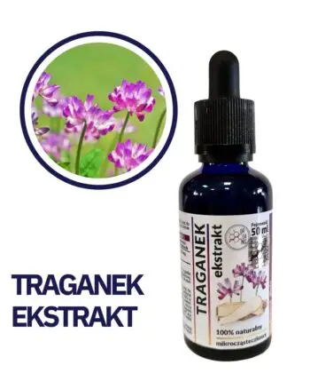 TRAGANEK WYCIĄG Mikrocząsteczkowy 50ml krople ekstrakt - obrazek 2