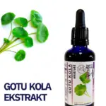 GOTU KOLA ADAPTOGEN WYCIĄG Mikrocząsteczkowy 50ml krople ekstrakt