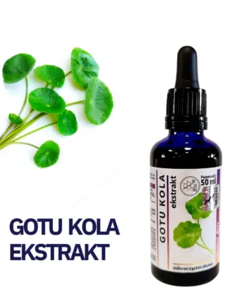GOTU KOLA ADAPTOGEN WYCIĄG Mikrocząsteczkowy 50ml krople ekstrakt