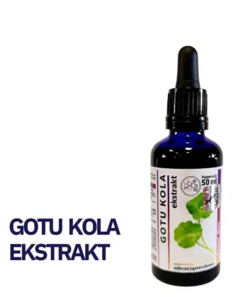 GOTU KOLA ADAPTOGEN WYCIĄG Mikrocząsteczkowy 50ml krople ekstrakt - obrazek 2