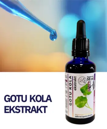 GOTU KOLA ADAPTOGEN WYCIĄG Mikrocząsteczkowy 50ml krople ekstrakt - obrazek 3