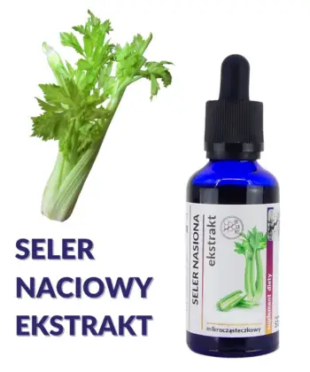 SELER NACIOWY NASIONA WYCIĄG Mikrocząsteczkowy 50ml krople ekstrakt