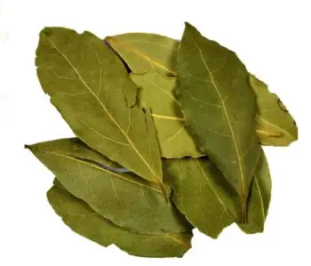 Liść laurowy wawrzyn WYCIĄG Mikrocząsteczkowy 50ml krople ekstrakt - obrazek 2