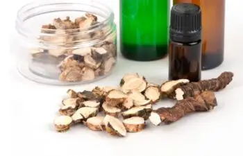 Tatarak kłącze WYCIĄG Mikrocząsteczkowy 50ml krople ekstrakt - obrazek 2