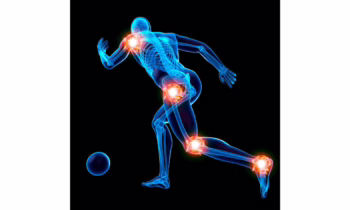 SKALL - zdrowe stawy - wyciąg 250 ml płynny krople ekstrakt ziołowy - obrazek 2
