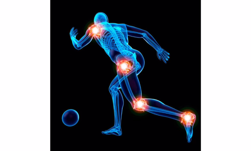 SKALL - zdrowe stawy - wyciąg 250 ml płynny krople ekstrakt ziołowy - obrazek 2